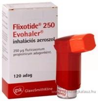 ФЛИКСОТИД ЭВОХАЛЕР (флутиказона пропионат) / FLIXOTIDE EVOHALER (fluticasone propionate)