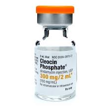 КЛЕОЦИН ФОСФАТ (клиндамицин) / CLEOCIN PHOSPHATE (clindamycin)