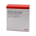 АРТЕРИЯ СУИС ИНЬЕЛЬ ОРГ / ARTERIA SUIS INIEЕL ORG
