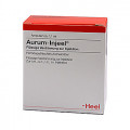 АУРУМ ИНЪЕЛЬ / AURUM INJEEL