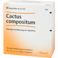 КАКТУС КОМПОЗИТУМ / CACTUS COMPOSITUM