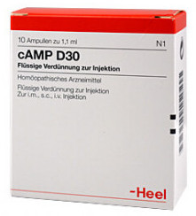 ЛАГЕРЬ Д30 АМПУЛЫ / CAMP D30 AMPULLEN