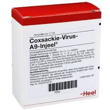 КОКСАКИ ВИРУС А9 ИНЪЕЛЬ / KOXSAKIE VIRUS A9 INJEEL